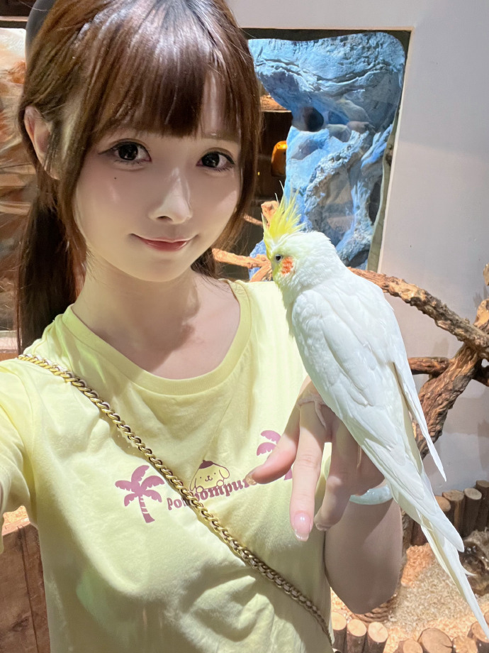 风之谷